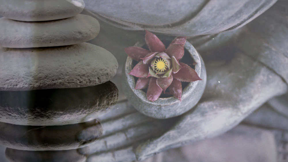 Ho’oponopono - Angeleitete Meditation